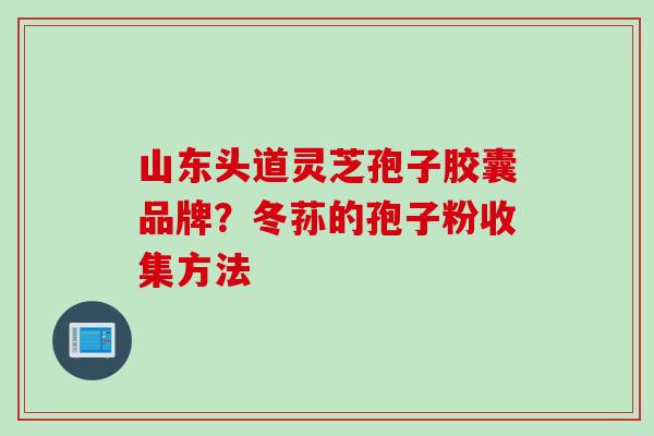 山东头道灵芝孢子胶囊品牌？冬荪的孢子粉收集方法