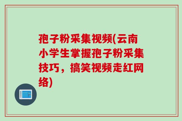 孢子粉采集视频(云南小学生掌握孢子粉采集技巧，搞笑视频走红网络)