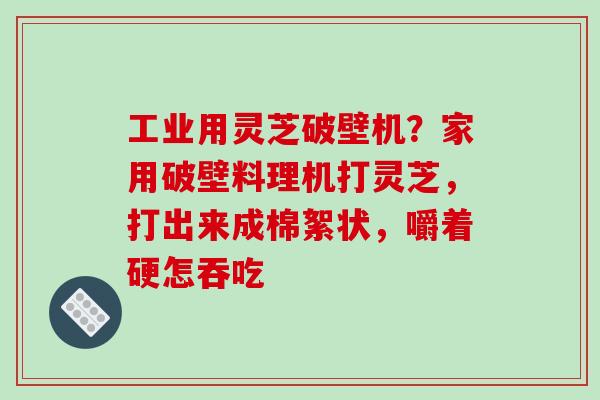 工业用灵芝破壁机？家用破壁料理机打灵芝，打出来成棉絮状，嚼着硬怎吞吃