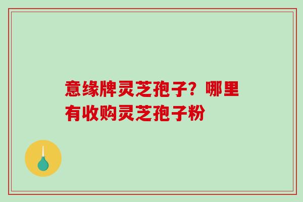意缘牌灵芝孢子？哪里有收购灵芝孢子粉