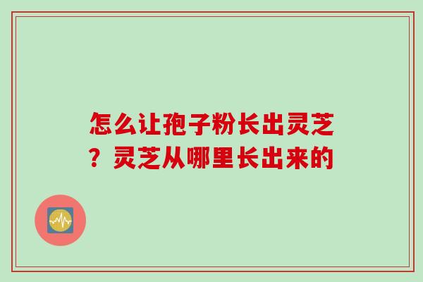 怎么让孢子粉长出灵芝？灵芝从哪里长出来的