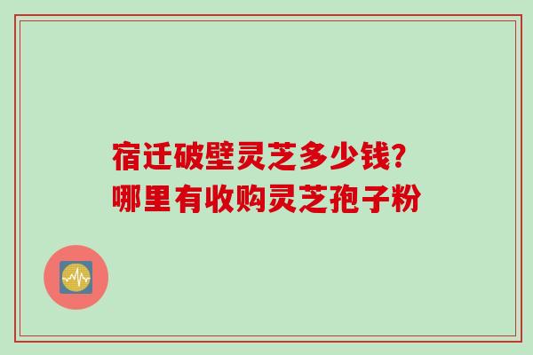 宿迁破壁灵芝多少钱？哪里有收购灵芝孢子粉