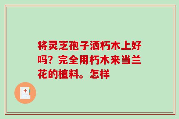将灵芝孢子洒朽木上好吗？完全用朽木来当兰花的植料。怎样