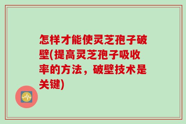 怎样才能使灵芝孢子破壁(提高灵芝孢子吸收率的方法，破壁技术是关键)