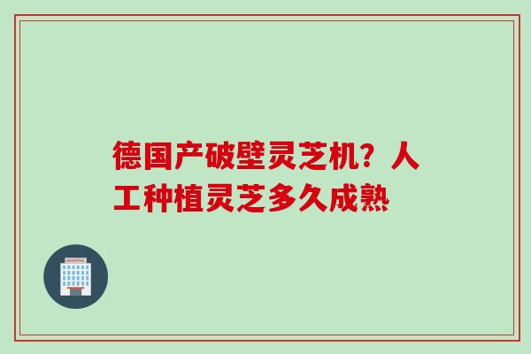 德国产破壁灵芝机？人工种植灵芝多久成熟