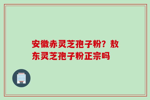 安徽赤灵芝孢子粉？敖东灵芝孢子粉正宗吗