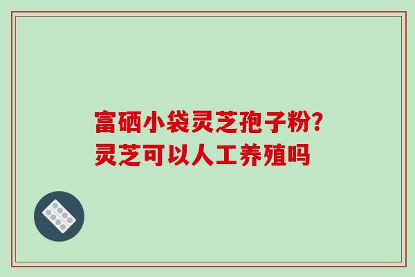 富硒小袋灵芝孢子粉？灵芝可以人工养殖吗