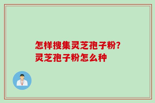 怎样搜集灵芝孢子粉？灵芝孢子粉怎么种