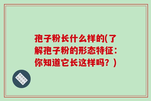 孢子粉长什么样的(了解孢子粉的形态特征：你知道它长这样吗？)