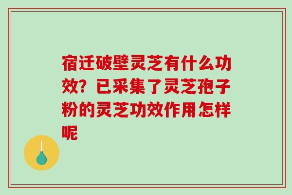 宿迁破壁灵芝有什么功效？已采集了灵芝孢子粉的灵芝功效作用怎样呢