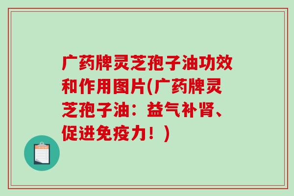 广药牌灵芝孢子油功效和作用图片(广药牌灵芝孢子油：益气补肾、促进免疫力！)