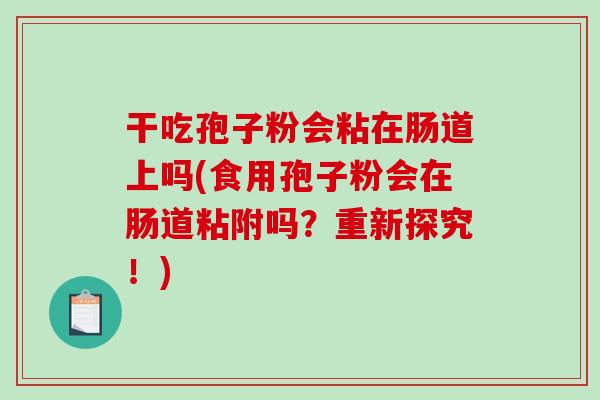 干吃孢子粉会粘在肠道上吗(食用孢子粉会在肠道粘附吗？重新探究！)