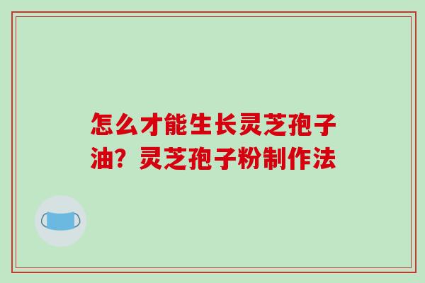 怎么才能生长灵芝孢子油？灵芝孢子粉制作法