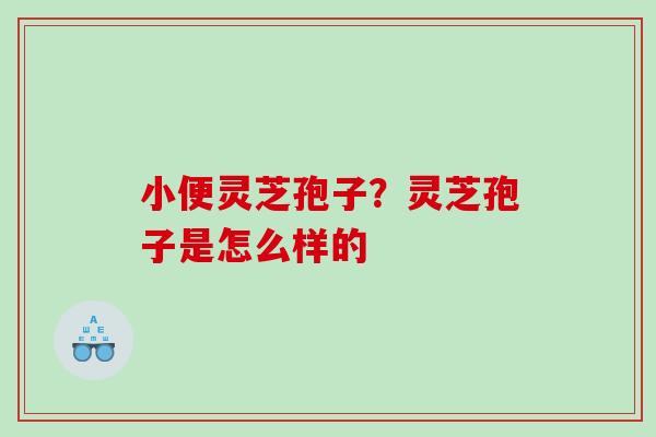 小便灵芝孢子？灵芝孢子是怎么样的