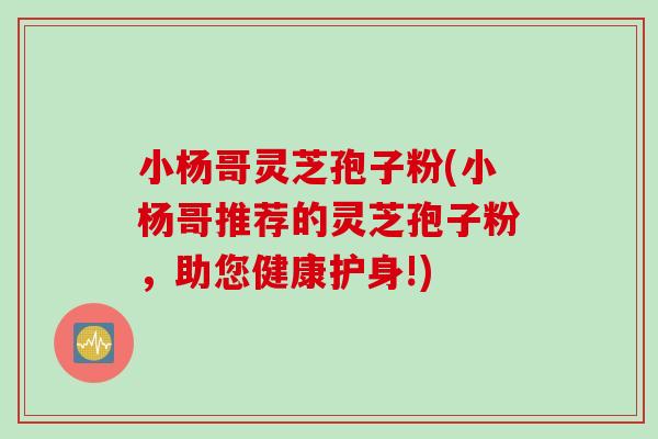 小杨哥灵芝孢子粉(小杨哥推荐的灵芝孢子粉，助您健康护身!)