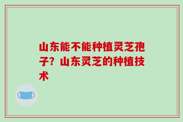 山东能不能种植灵芝孢子？山东灵芝的种植技术