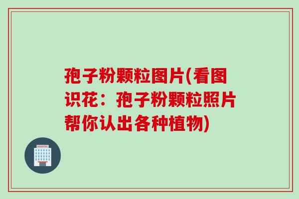 孢子粉颗粒图片(看图识花：孢子粉颗粒照片帮你认出各种植物)