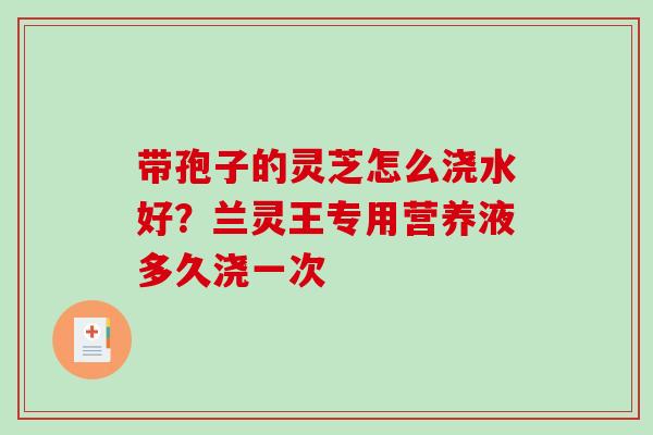 带孢子的灵芝怎么浇水好？兰灵王专用营养液多久浇一次