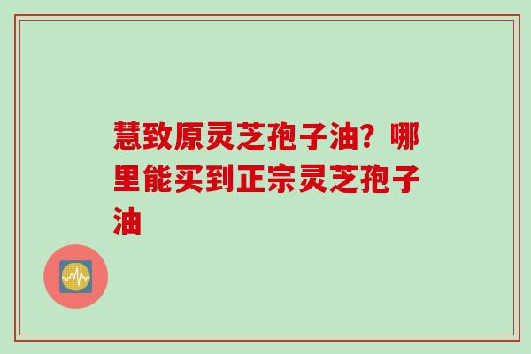 慧致原灵芝孢子油？哪里能买到正宗灵芝孢子油