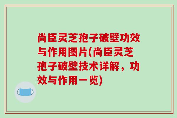 尚臣灵芝孢子破壁功效与作用图片(尚臣灵芝孢子破壁技术详解，功效与作用一览)