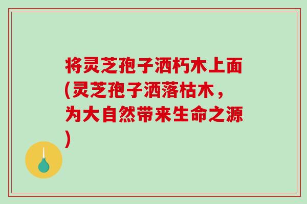 将灵芝孢子洒朽木上面(灵芝孢子洒落枯木，为大自然带来生命之源)