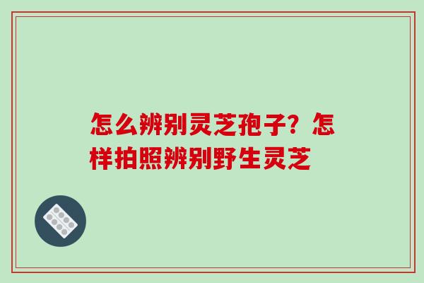怎么辨别灵芝孢子？怎样拍照辨别野生灵芝
