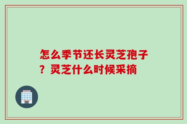 怎么季节还长灵芝孢子？灵芝什么时候采摘