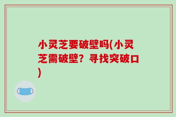 小灵芝要破壁吗(小灵芝需破壁？寻找突破口)