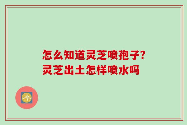 怎么知道灵芝喷孢子？灵芝出土怎样喷水吗