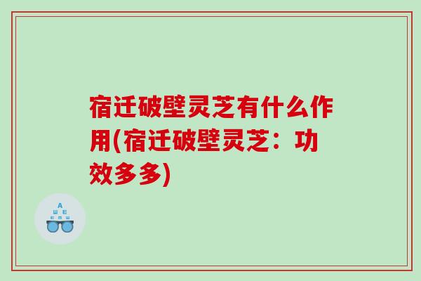 宿迁破壁灵芝有什么作用(宿迁破壁灵芝：功效多多)