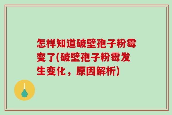 怎样知道破壁孢子粉霉变了(破壁孢子粉霉发生变化，原因解析)