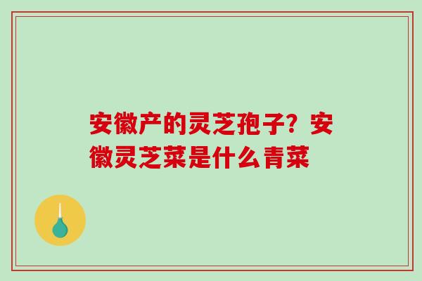 安徽产的灵芝孢子？安徽灵芝菜是什么青菜