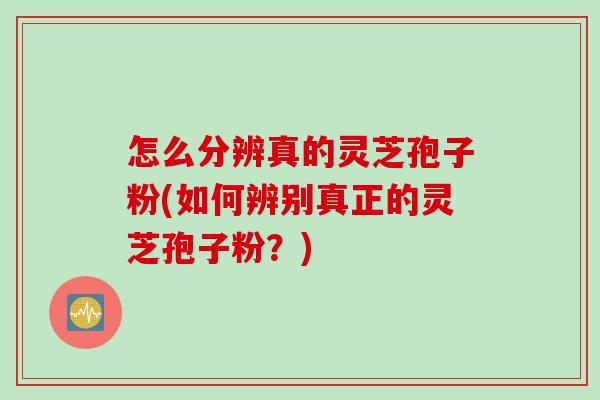 怎么分辨真的灵芝孢子粉(如何辨别真正的灵芝孢子粉？)