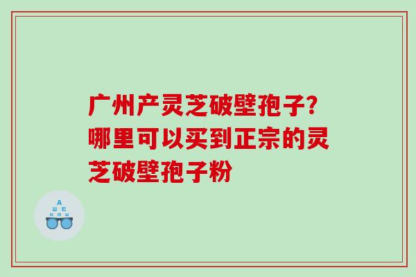 广州产灵芝破壁孢子？哪里可以买到正宗的灵芝破壁孢子粉