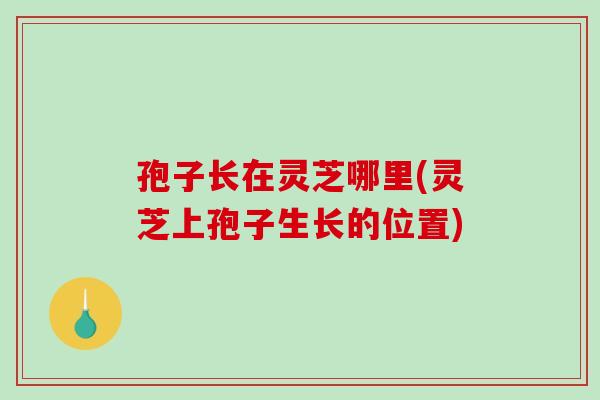 孢子长在灵芝哪里(灵芝上孢子生长的位置)