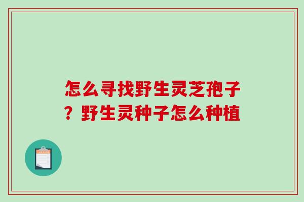 怎么寻找野生灵芝孢子？野生灵种子怎么种植