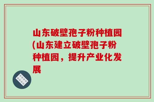 山东破壁孢子粉种植园(山东建立破壁孢子粉种植园，提升产业化发展