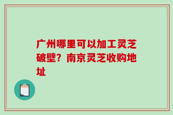 广州哪里可以加工灵芝破壁?南京灵芝收购地址 广州哪里可以加工灵芝破壁?南京灵芝收购地址