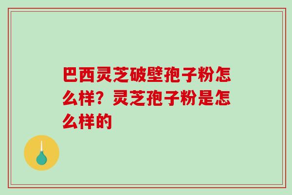 巴西灵芝破壁孢子粉怎么样？灵芝孢子粉是怎么样的