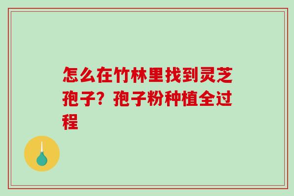 怎么在竹林里找到灵芝孢子？孢子粉种植全过程