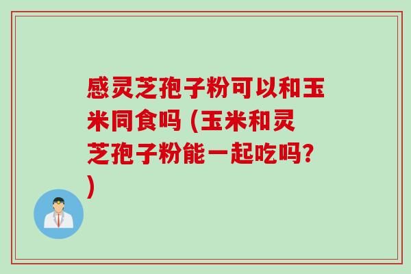 感灵芝孢子粉可以和玉米同食吗 (玉米和灵芝孢子粉能一起吃吗？)
