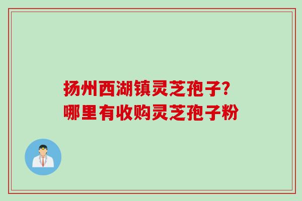 扬州西湖镇灵芝孢子？哪里有收购灵芝孢子粉