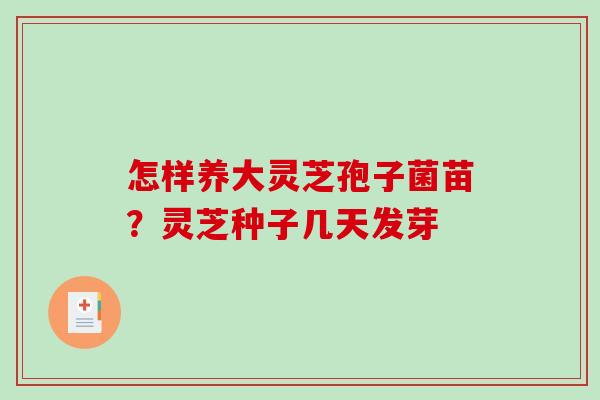 怎样养大灵芝孢子菌苗？灵芝种子几天发芽