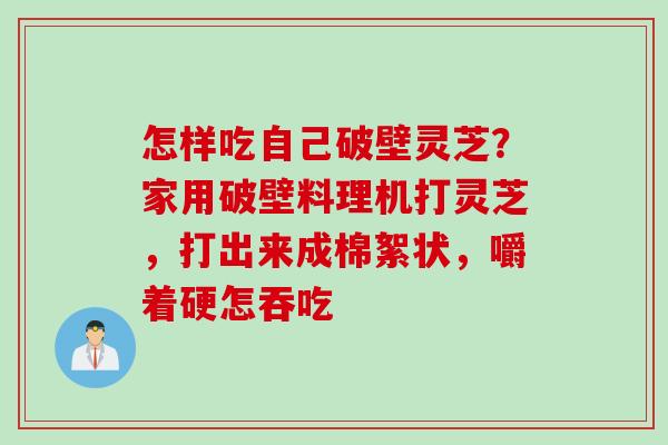 怎样吃自己破壁灵芝？家用破壁料理机打灵芝，打出来成棉絮状，嚼着硬怎吞吃
