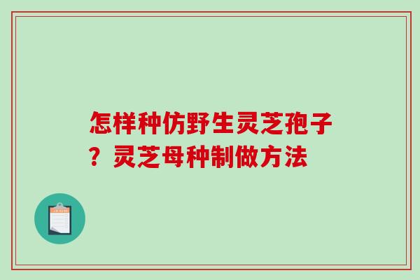 怎样种仿野生灵芝孢子？灵芝母种制做方法
