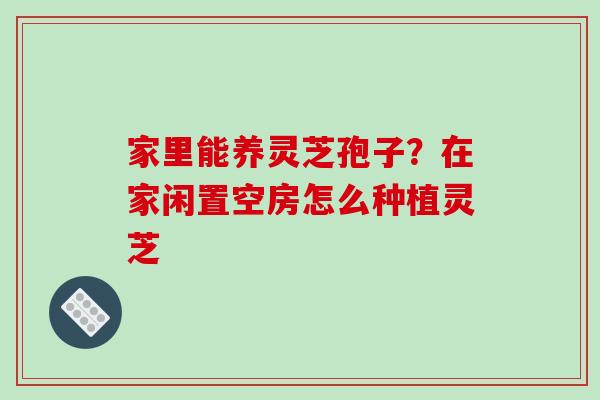 家里能养灵芝孢子？在家闲置空房怎么种植灵芝
