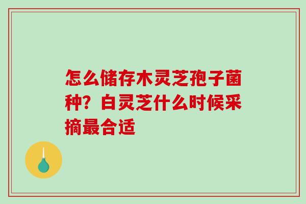 怎么储存木灵芝孢子菌种？白灵芝什么时候采摘最合适