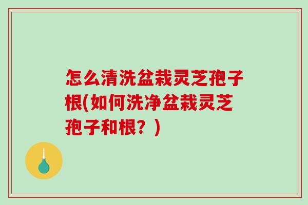 怎么清洗盆栽灵芝孢子根(如何洗净盆栽灵芝孢子和根?) 怎么清洗盆栽灵芝孢子根(如何洗净盆栽灵芝孢子和根?)