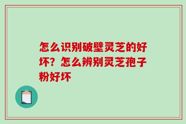 怎么识别破壁灵芝的好坏?怎么辨别灵芝孢子粉好坏 怎么识别破壁灵芝的好坏?怎么辨别灵芝孢子粉好坏