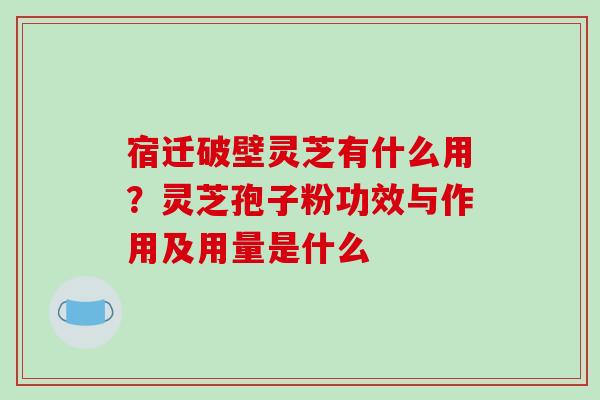 宿迁破壁灵芝有什么用？灵芝孢子粉功效与作用及用量是什么